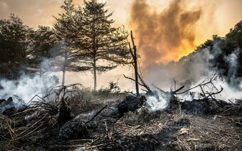 Оценка ущерба после стихийного бедствия в во Владимире: отчет оценщика